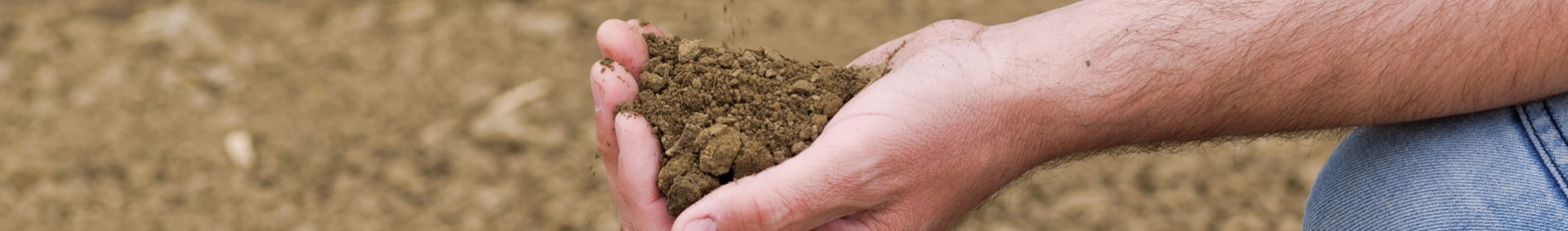Image of retailer testing soil quality
