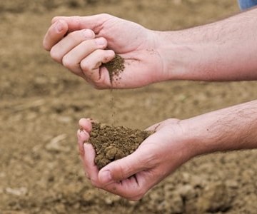 Person playing with soil