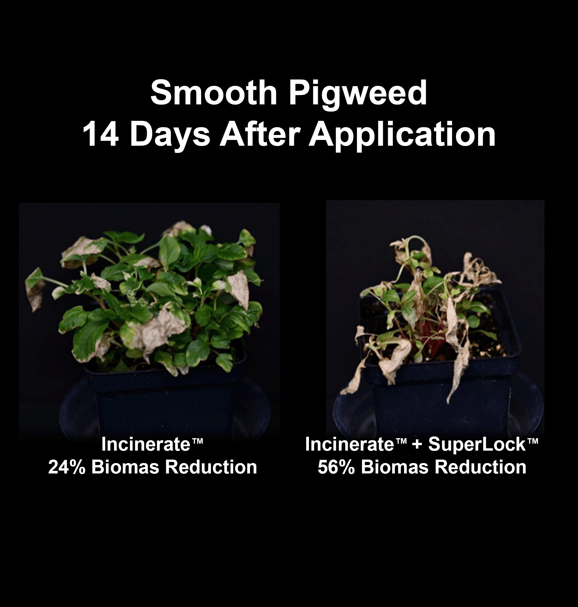 SuperLock_side-by-side_2000x2100 (1).png