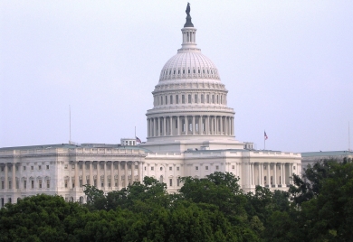 Photo of U.S. Capitol with trees at the bottom of the photo