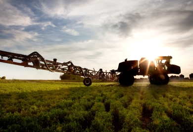 Applicator