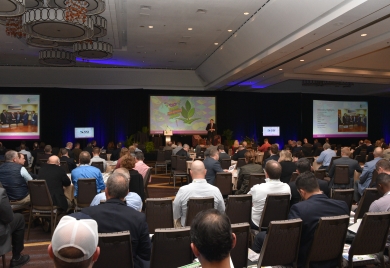 Conference Crowd