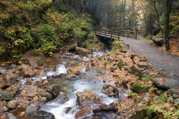 Stream