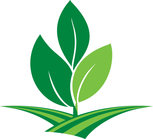 ARA Logo Leaves_no back.png