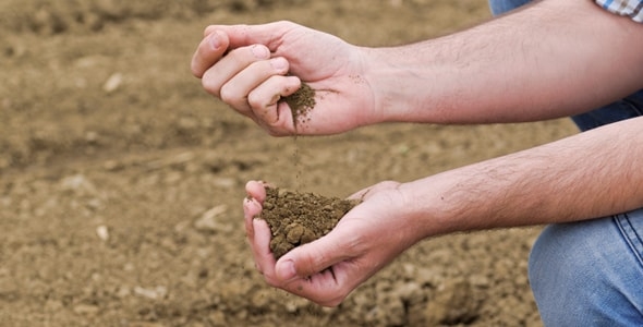 Person playing with soil