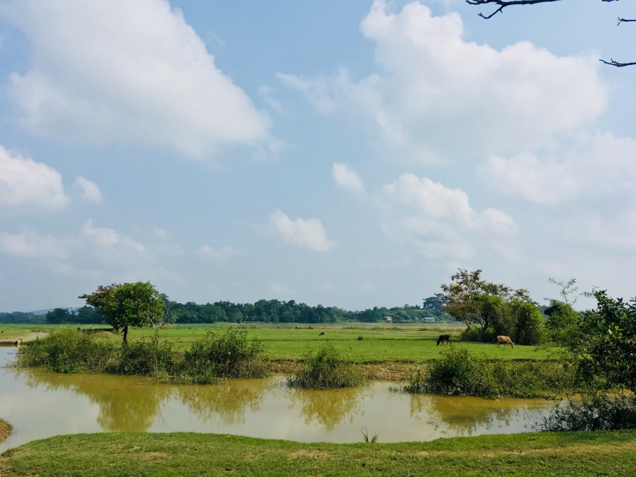 WOTUS_grazing near water