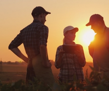 Three people discussing at sunset