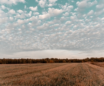 Agricultural Land