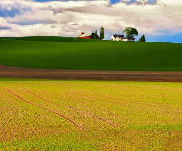 Farm Land