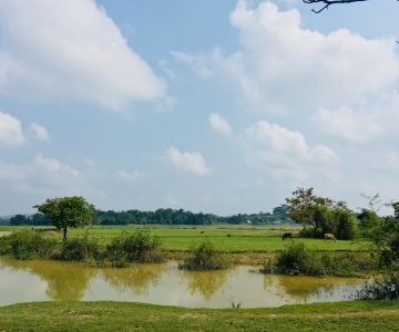 WOTUS