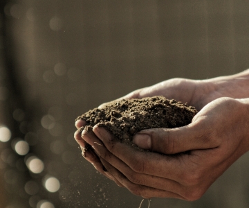 Hands holding soil