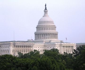 Photo of U.S. Capitol with trees at the bottom of the photo