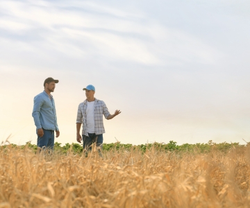 Farm workers