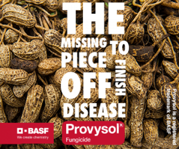 BASF provysol