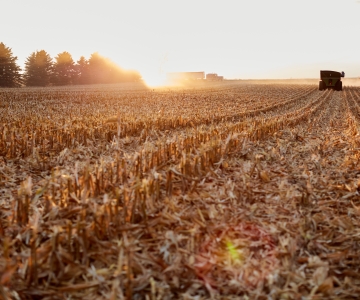 Harvest