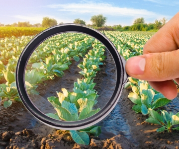 Agronomy_Data_Field.jpeg