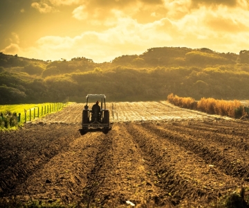 field