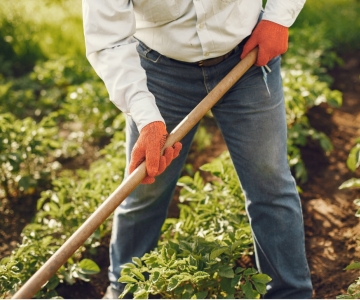 farmer
