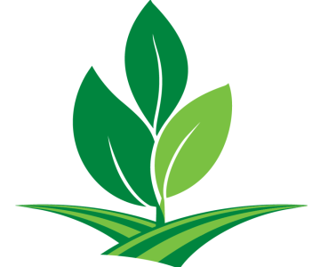 ARA Leaf Logo