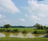 WOTUS_grazing near water