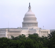 Photo of U.S. Capitol with trees at the bottom of the photo