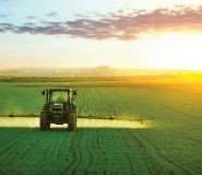 Farm