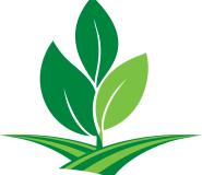 ARA Logo Leaves_no back.png