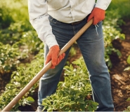 farmer
