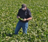 Farmer in the field