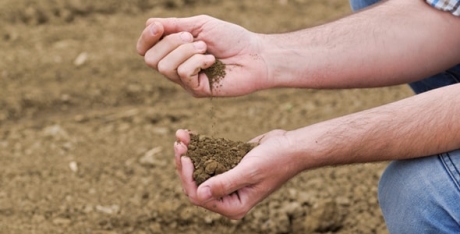 Person playing with soil