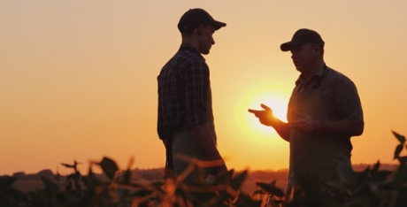 Two men discussing at sunset, in a field