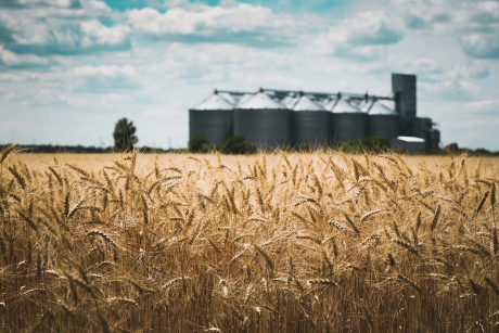 Grain Bin