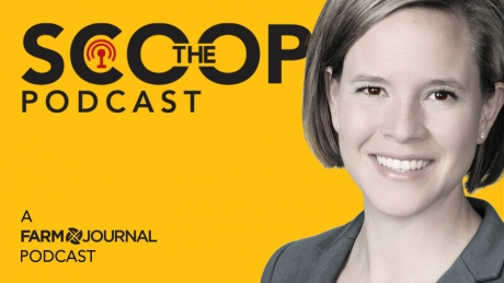 The Scoop Podcast