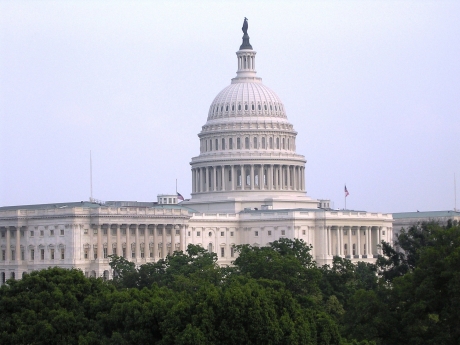 Photo of U.S. Capitol with trees at the bottom of the photo