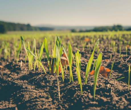 Climate-smart ag