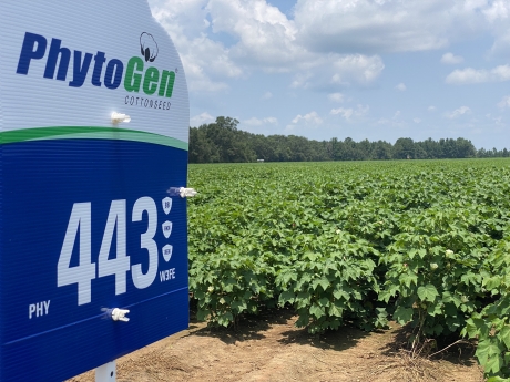 Corteva PhytoGen