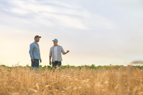 Crop insurance program