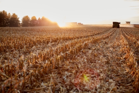 Harvest