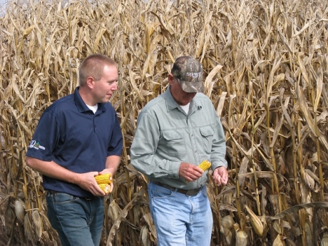 Corn field, agronomist