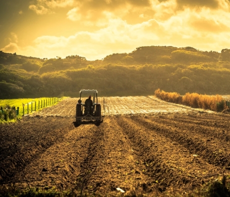 field