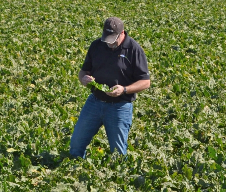 Farmer in the field