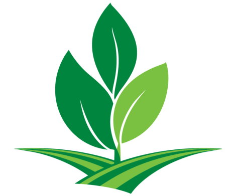 ARA Leaf Logo( 1000px x 850px)png