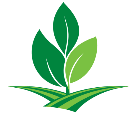 ARA Leaf Logo( 1000px x 850px)